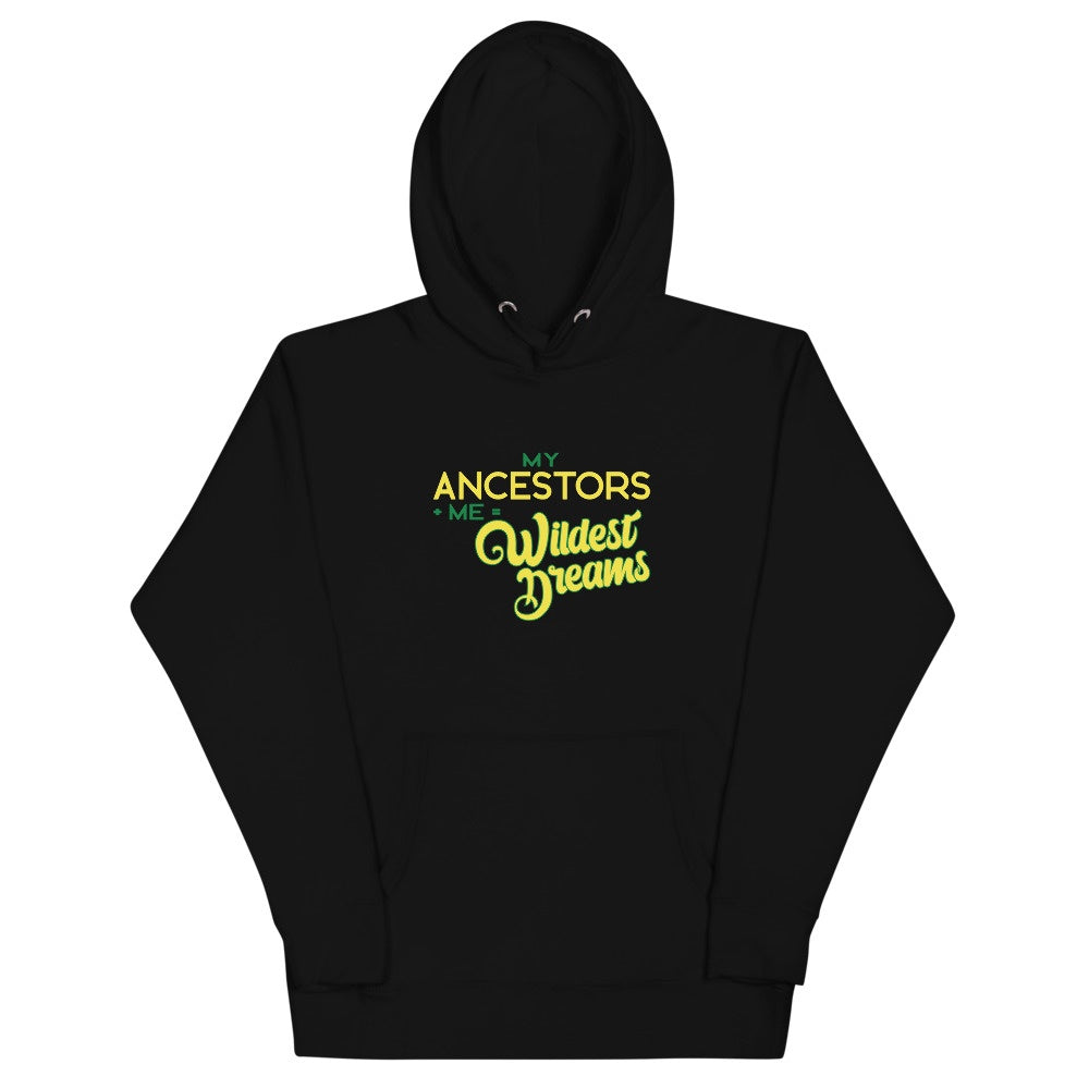 My Ancestors plus Me equals Wildest Dreams Unisex Hoodie - Momtings Apparel 9.30.21